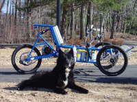 Mascot Phedoux, Wolf Husky Hybrid, RIP 06